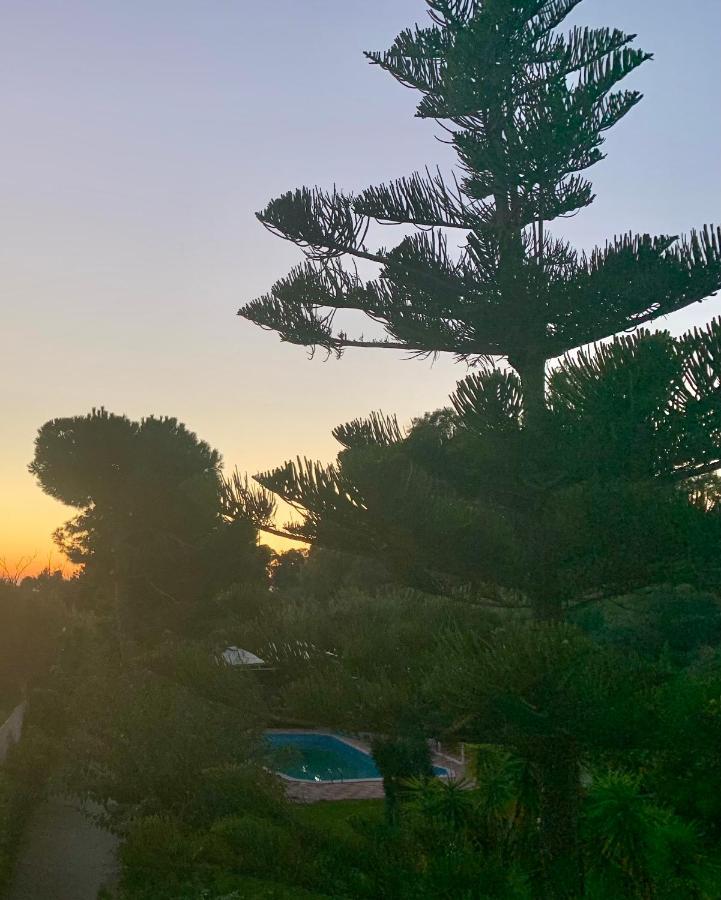 Villa Pap Preveza Eksteriør bilde